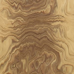 Oliva 1011