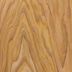 Oliva DC